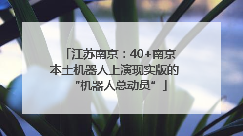 江苏南京：40+南京本土机器人上演现实版的“机器人总动员”