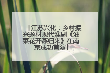江苏兴化：乡村振兴题材现代淮剧《油菜花开燕归来》在南京成功首演