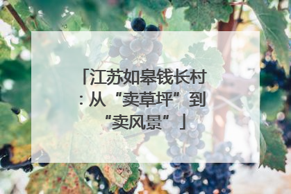 江苏如皋钱长村：从“卖草坪”到“卖风景”