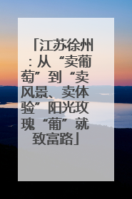 江苏徐州：从“卖葡萄”到“卖风景、卖体验”阳光玫瑰“葡”就致富路