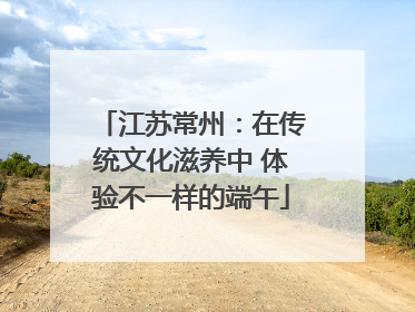江苏常州：在传统文化滋养中 体验不一样的端午