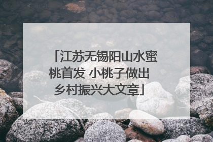 江苏无锡阳山水蜜桃首发 小桃子做出乡村振兴大文章