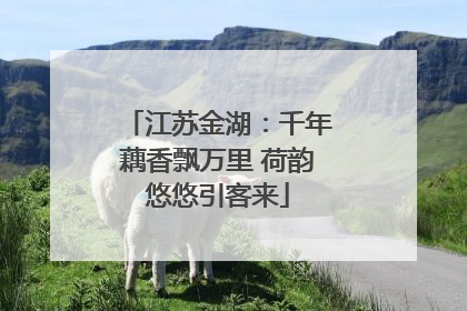 江苏金湖：千年藕香飘万里 荷韵悠悠引客来