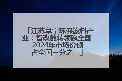 江苏阜宁环保滤料产业：智改数转领跑全国 2024年市场份额占全国三分之一
