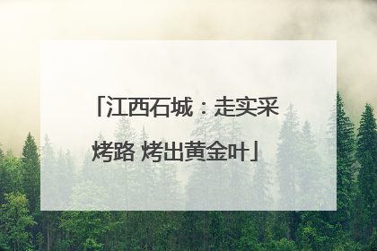 江西石城：走实采烤路 烤出黄金叶