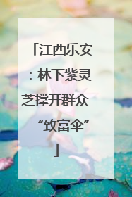 江西乐安：林下紫灵芝撑开群众“致富伞”