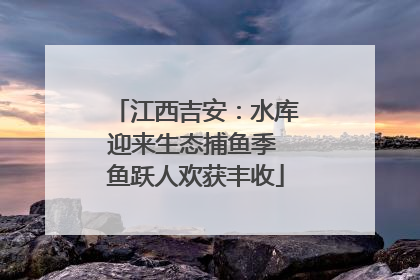 江西吉安：水库迎来生态捕鱼季 鱼跃人欢获丰收