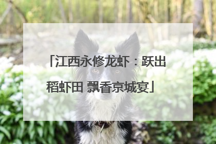 江西永修龙虾：跃出稻虾田 飘香京城宴