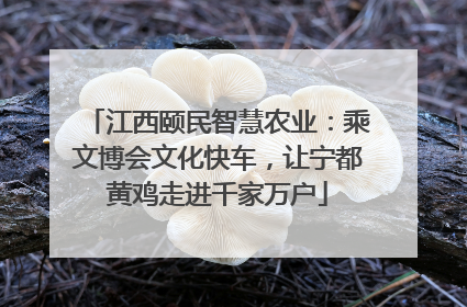 江西颐民智慧农业：乘文博会文化快车，让宁都黄鸡走进千家万户