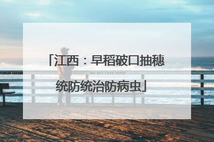 江西：早稻破口抽穗 统防统治防病虫