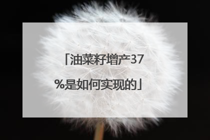 油菜籽增产37%是如何实现的
