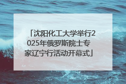 沈阳化工大学举行2025年俄罗斯院士专家辽宁行活动开幕式