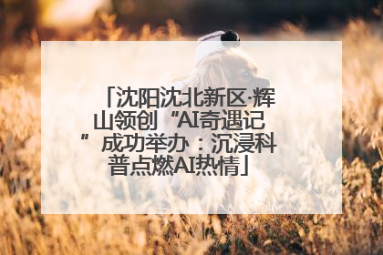 沈阳沈北新区·辉山领创“AI奇遇记”成功举办：沉浸科普点燃AI热情