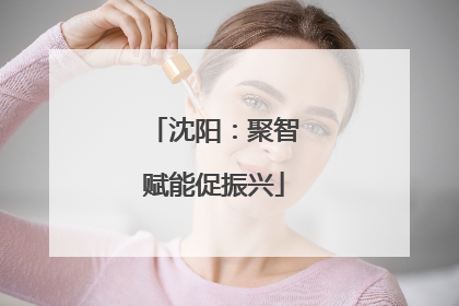 沈阳：聚智赋能促振兴
