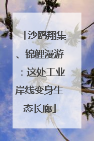 沙鸥翔集、锦鲤漫游：这处工业岸线变身生态长廊