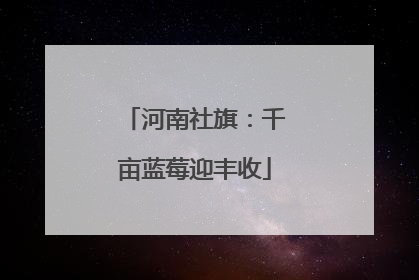河南社旗：千亩蓝莓迎丰收