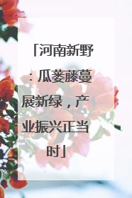 河南新野：瓜蒌藤蔓展新绿，产业振兴正当时