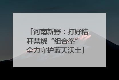 河南新野：打好秸秆禁烧“组合拳” 全力守护蓝天沃土