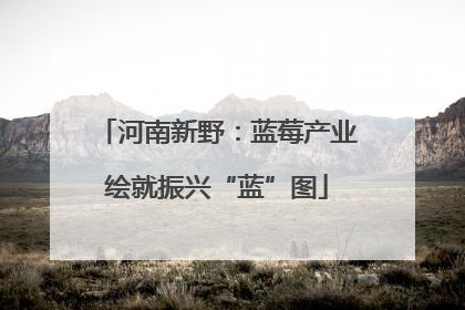 河南新野：蓝莓产业绘就振兴“蓝”图