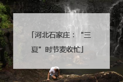 河北石家庄：“三夏”时节麦收忙