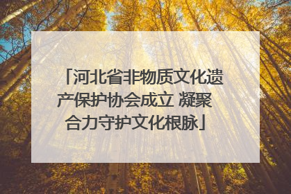 河北省非物质文化遗产保护协会成立 凝聚合力守护文化根脉
