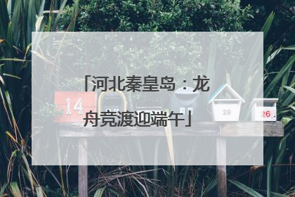 河北秦皇岛：龙舟竞渡迎端午