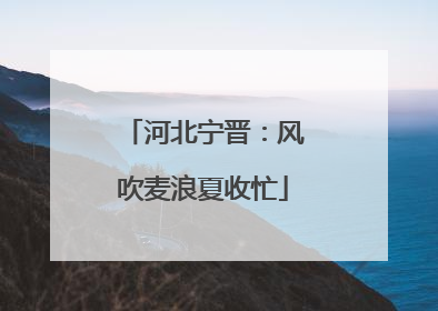 河北宁晋：风吹麦浪夏收忙
