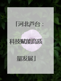 河北芦台：科技赋能高质量发展