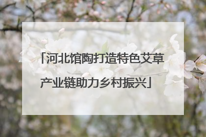 河北馆陶打造特色艾草产业链助力乡村振兴