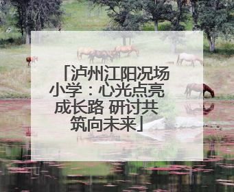 泸州江阳况场小学：心光点亮成长路 研讨共筑向未来