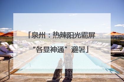 泉州：热辣阳光霸屏 “各显神通”避暑