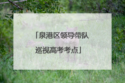 泉港区领导带队巡视高考考点