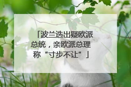 波兰选出疑欧派总统，亲欧派总理称“寸步不让”