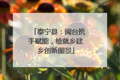 泰宁县：闽台携手赋能，绘就乡建乡创新图景