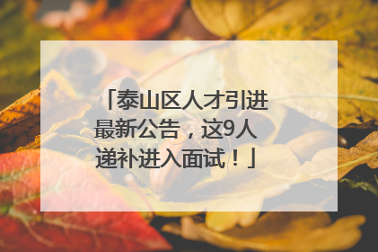 泰山区人才引进最新公告，这9人递补进入面试！
