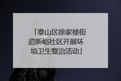 泰山区徐家楼街道新峪社区开展环境卫生整治活动