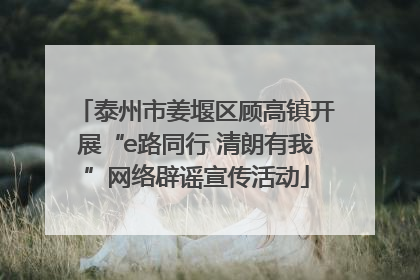 泰州市姜堰区顾高镇开展“e路同行 清朗有我”网络辟谣宣传活动
