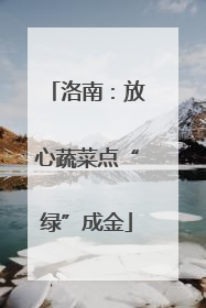 洛南：放心蔬菜点“绿”成金