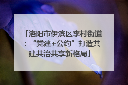 洛阳市伊滨区李村街道：“党建+公约”打造共建共治共享新格局