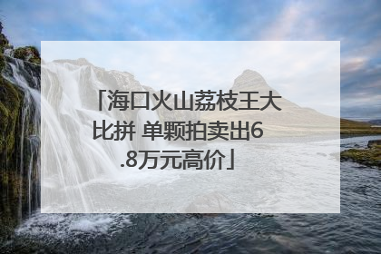 海口火山荔枝王大比拼 单颗拍卖出6.8万元高价