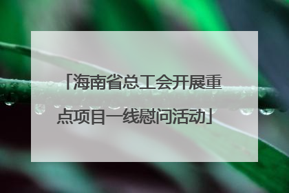 海南省总工会开展重点项目一线慰问活动