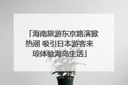海南旅游东京路演掀热潮 吸引日本游客来琼体验海岛生活