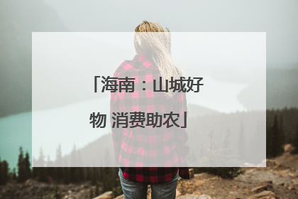 海南：山城好物 消费助农