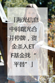 海光信息中科曙光合并停牌，资金杀入ETF基金找“平替”