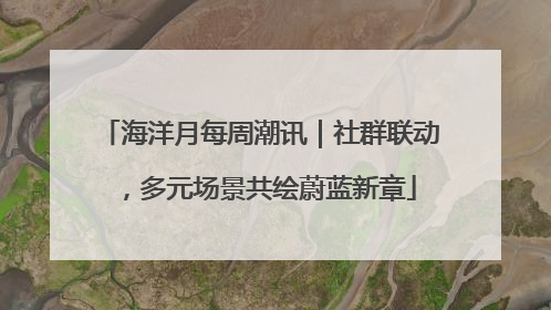 海洋月每周潮讯｜社群联动，多元场景共绘蔚蓝新章