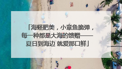 海蛏肥美，小章鱼脆弹，每一种都是大海的馈赠——夏日到海边 就爱那口鲜