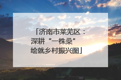 济南市莱芜区：深耕“一株桑” 绘就乡村振兴图