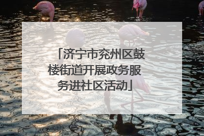 济宁市兖州区鼓楼街道开展政务服务进社区活动