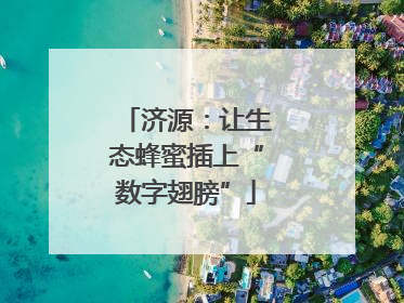济源：让生态蜂蜜插上“数字翅膀”
