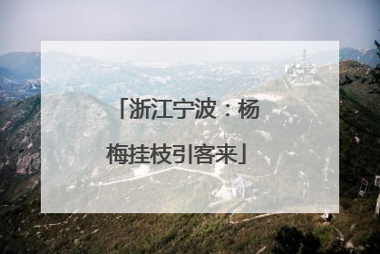 浙江宁波：杨梅挂枝引客来